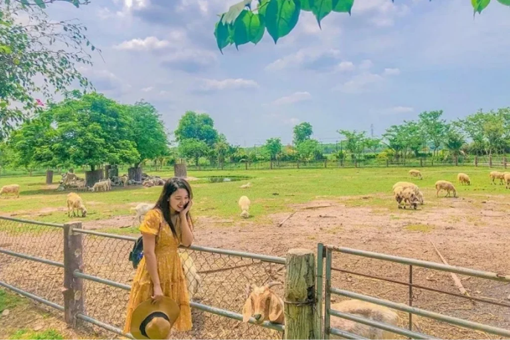 Chơi gì ở xã An Nhơn Tây? Gợi ý 10 điểm đến thú vị cuối tuần Top 10 địa điểm giải đáp chơi gì ở xã An Nhơn Tây