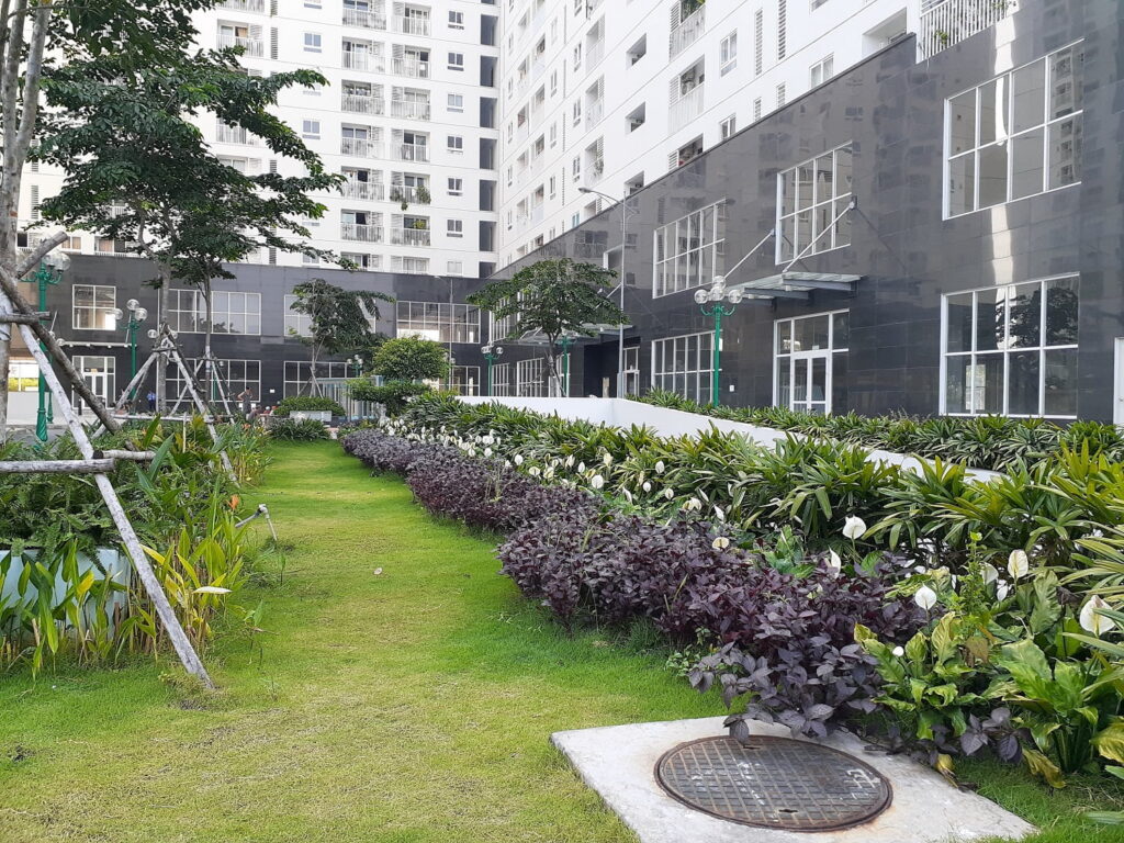 Tiện ích hồ bơi ngoài trời trung tâm của dự án review Tara Residences Quận 8