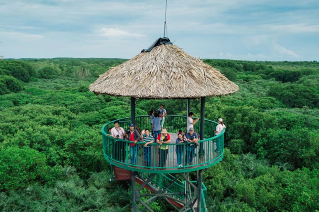 Chơi gì ở xã Cần Giờ với 10 địa điểm check-in và trải nghiệm hấp dẫn Khám phá chơi gì ở xã Cần Giờ