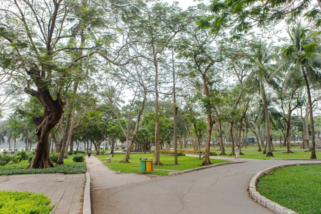 Lối đi bộ lát gạch sạch đẹp dưới những tán cây cổ thụ cao vút