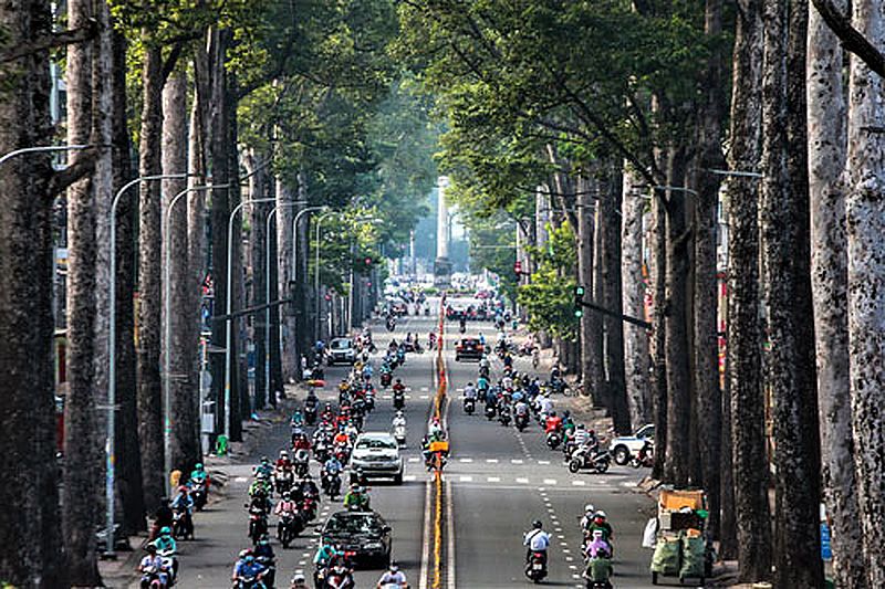 Gợi ý các quận tại TP.HCM có nhiều công viên và cây xanh trong lành Gợi ý danh sách các quận tại TPHCM có nhiều công viên và cây xanh thoáng mát