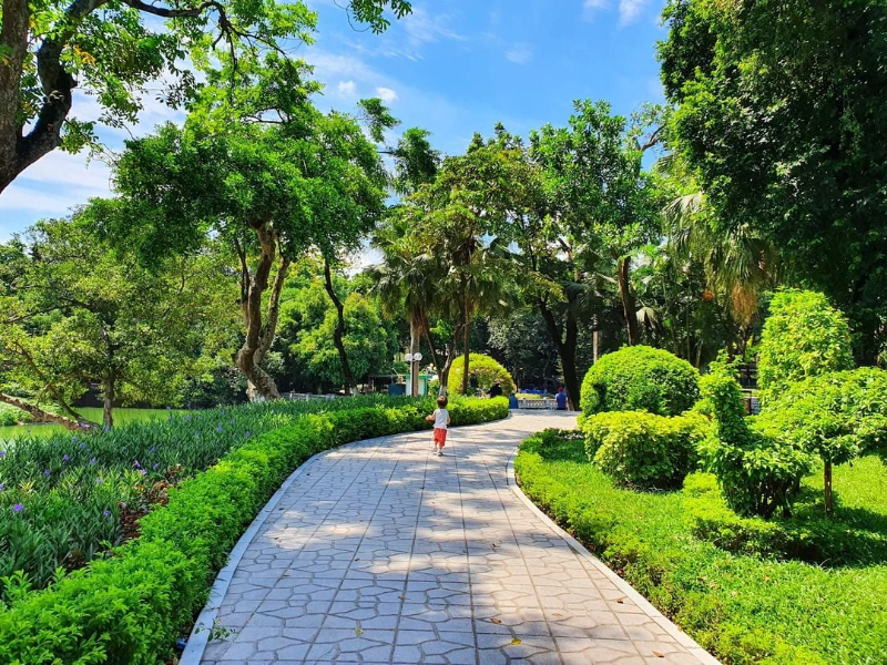 Em bé chạy nhảy trên lối đi lát đá sạch sẽ uốn lượn giữa những hàng cây xanh mướt dưới bầu trời trong vắt
