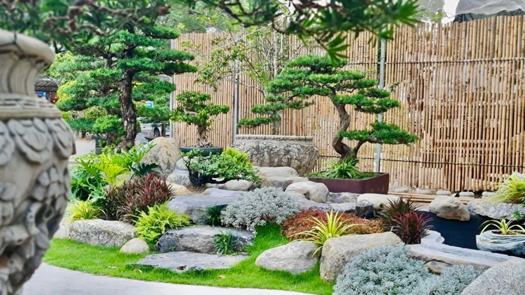 Không gian sân vườn bonsai kết hợp tiểu cảnh đá tại quán cafe