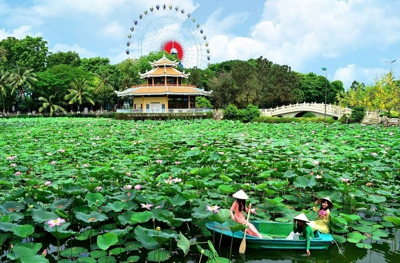 Các cô gái mặc áo dài đội nón lá chèo thuyền trên hồ sen nở hoa rực rỡ