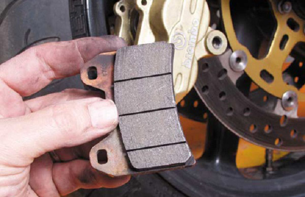 kiểm tra bố thắng