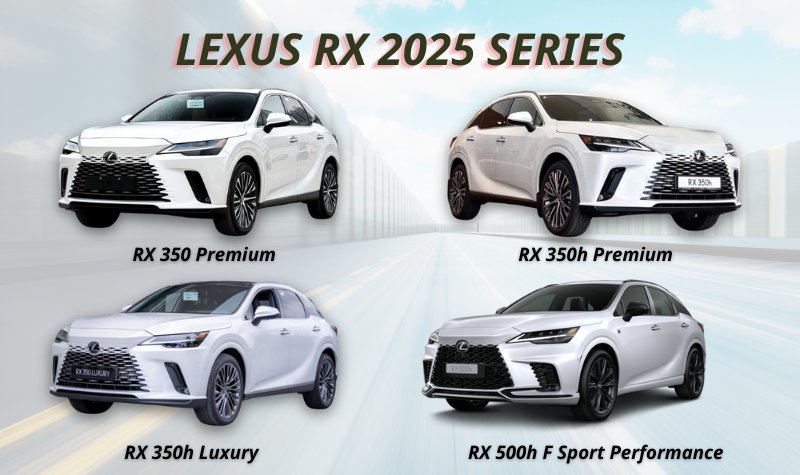 các loại Lexus RX 2025