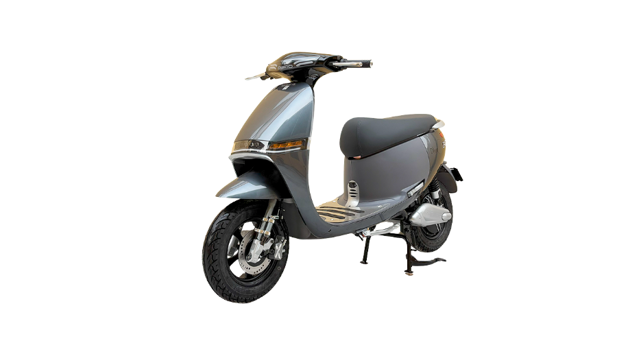 Dibao Gogo Crown màu Ghi Sần
