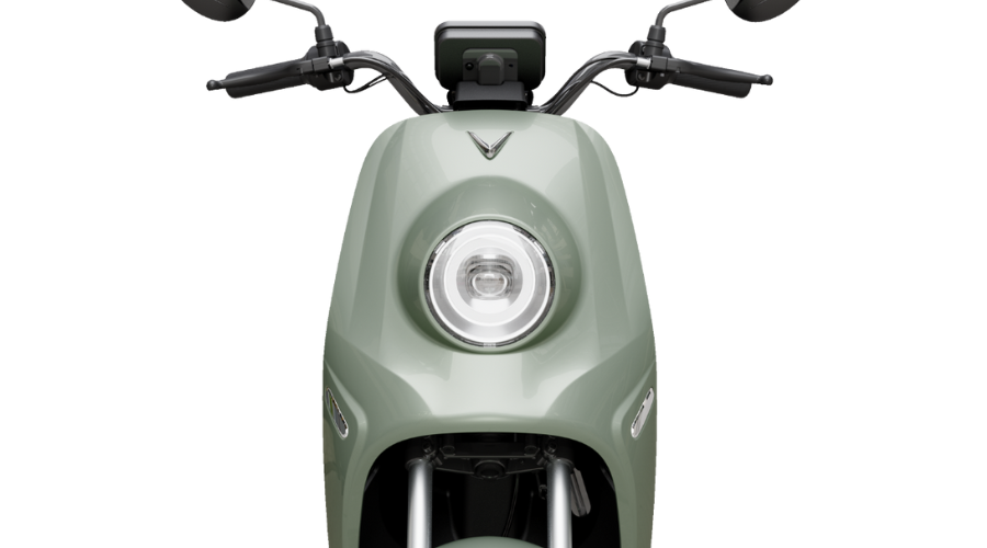 VinFast ZGoo Hình 1