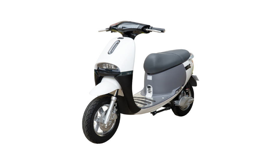 Xe DKBike Gogo S