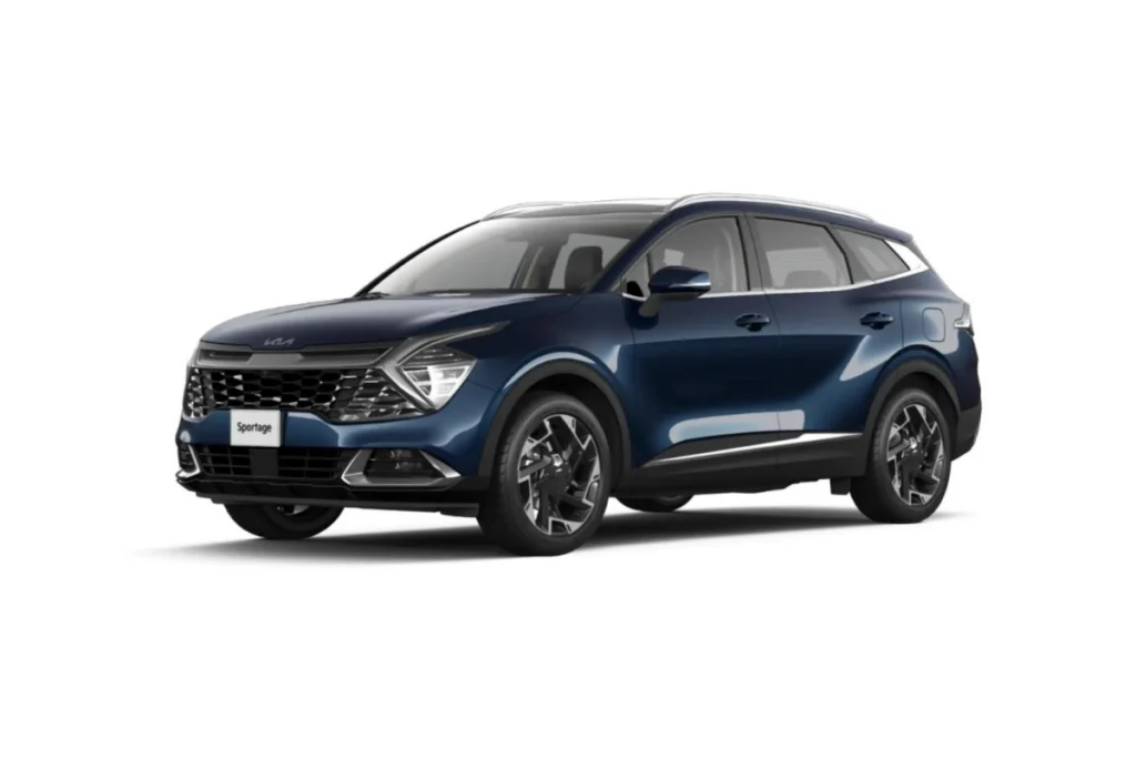 hướng dẫn sử dụng Kia Sportage hình 3