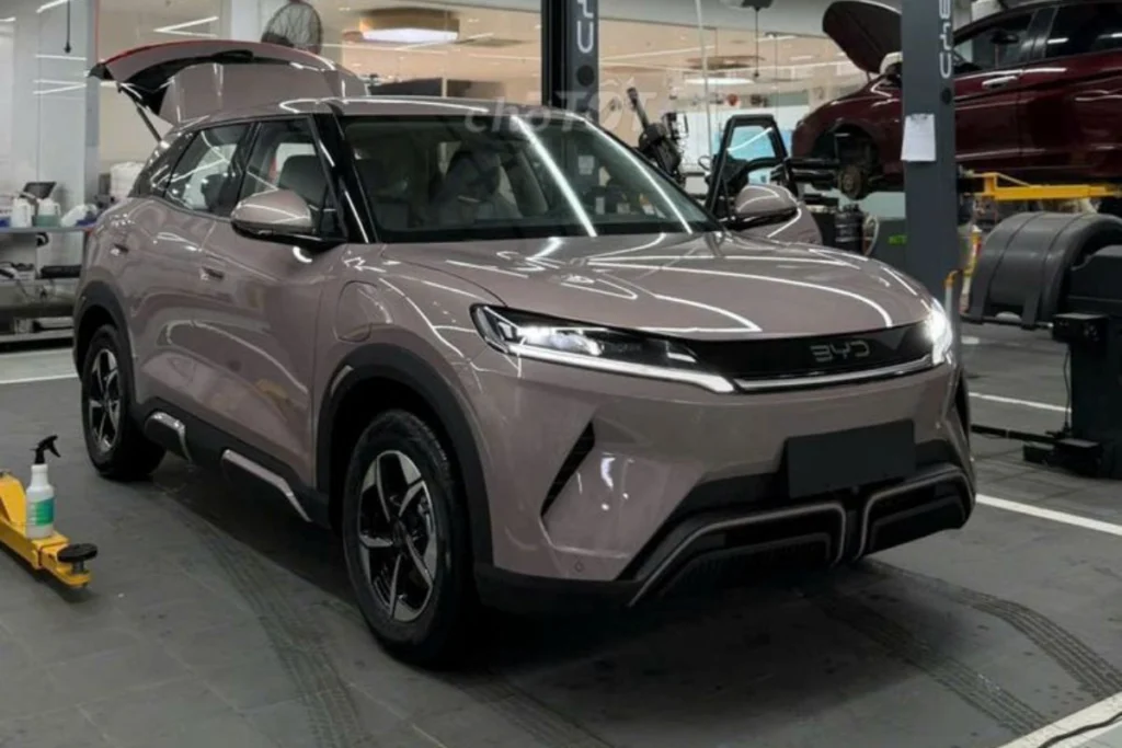  Bảng màu xe BYD Atto 2 hình 2