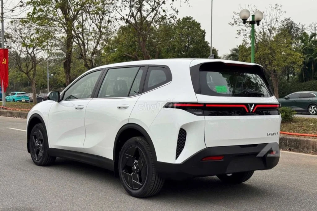 kích thước Limo Green hình 2