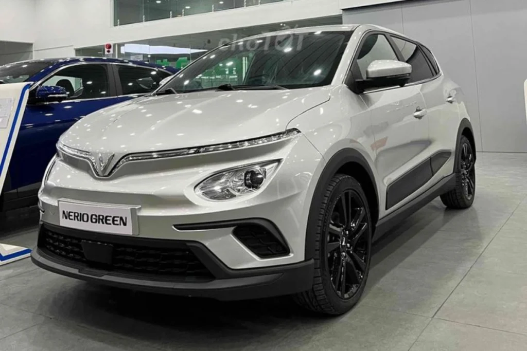 kích thước Nerio Green hình 1