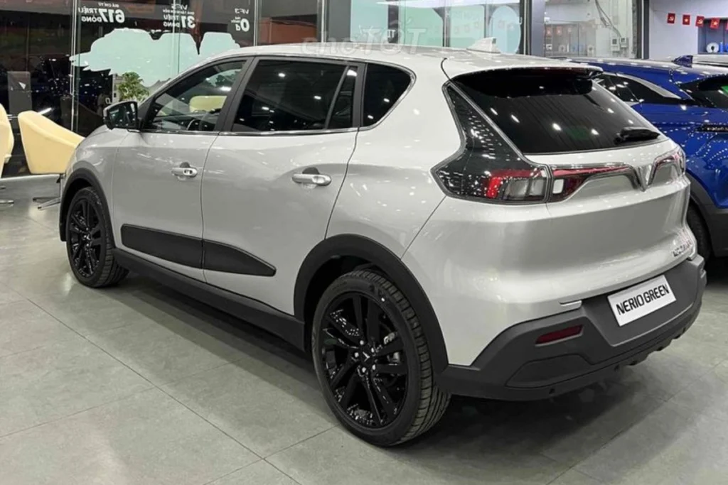 kích thước Nerio Green hình 2